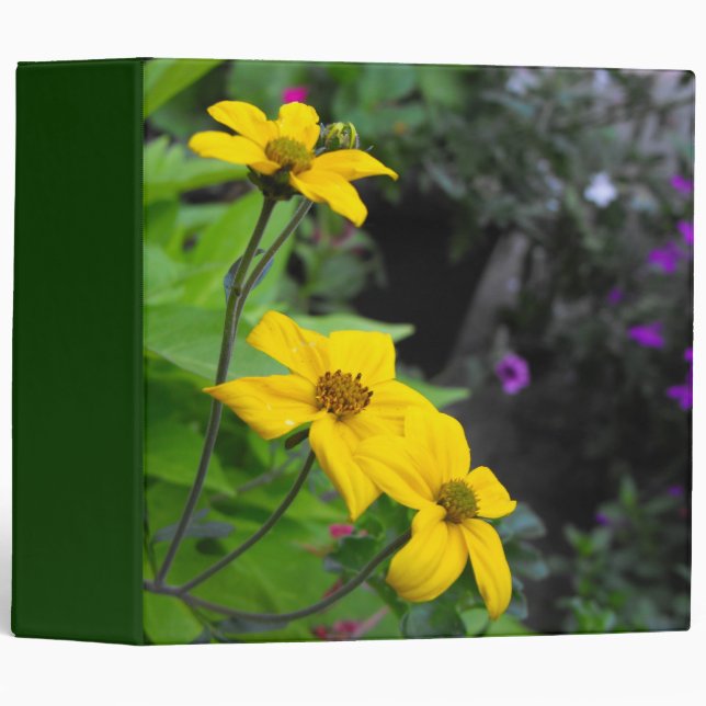 yellow flowers,green binder (Front/Spine)