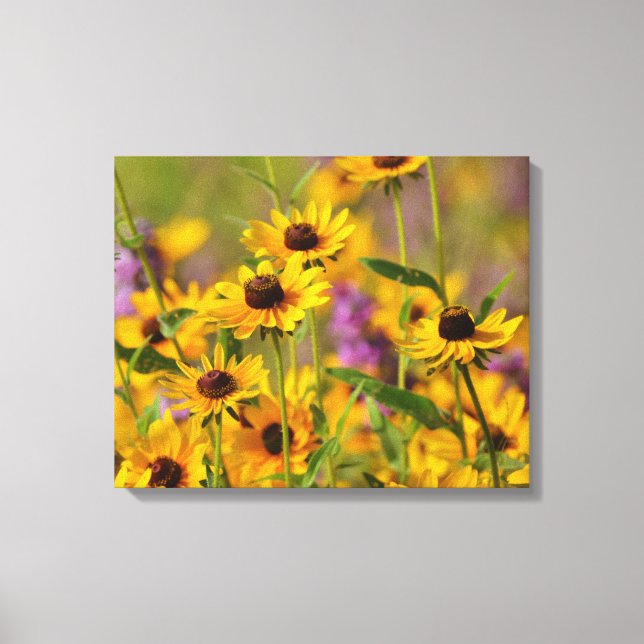 Yellow Flowers in a Meadow Canvas Art Print (Front)