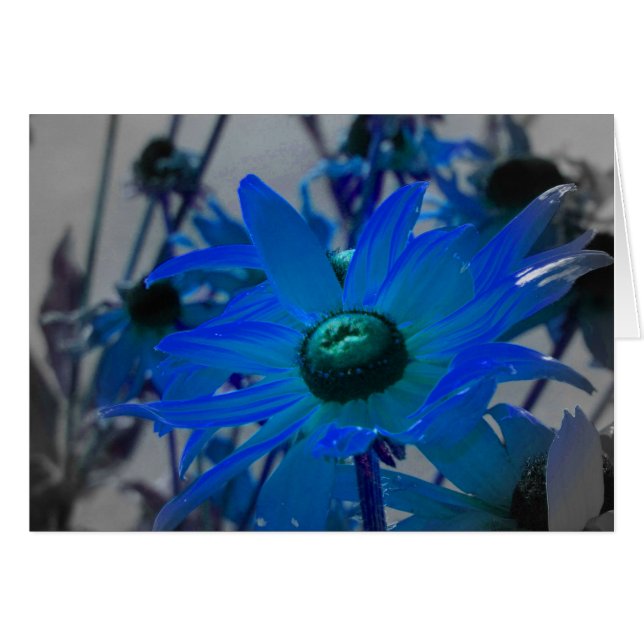 Yellow flowers in blue cards (Front Horizontal)