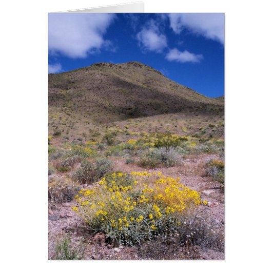 Yellow Flowers in Death Valley Cards (Front)
