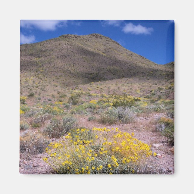 Yellow Flowers in Death Valley Magnet (Front)