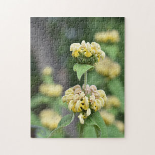 Yellow Flowers London Lush Garden England Jigsaw Puzzle