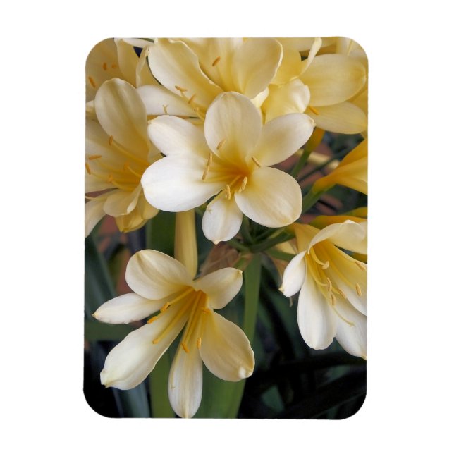 YELLOW FLOWERS MAGNET (Vertical)