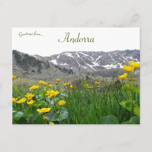 Yellow Flowers Near the Midi Pyrenees in Andorra Postcard