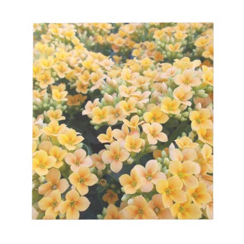 Yellow Flowers Notepad