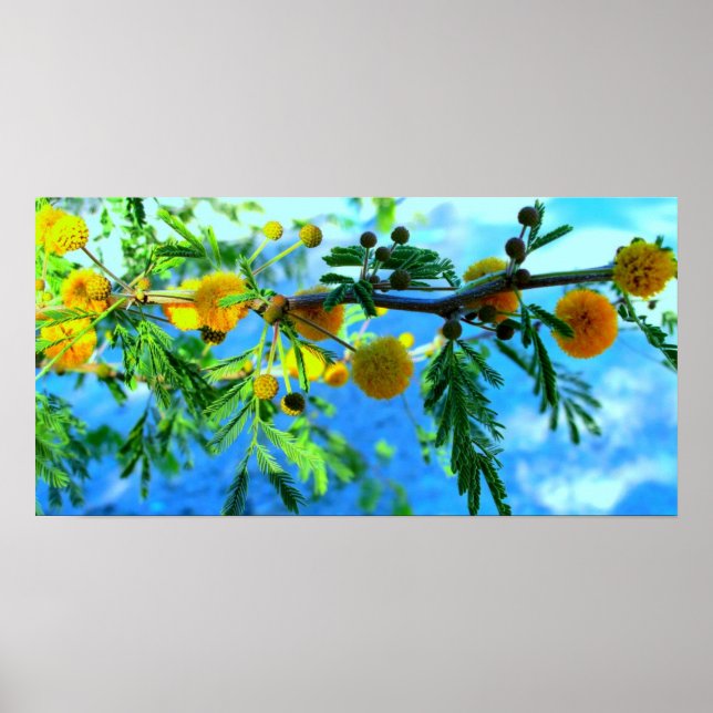 Yellow Flowers on a Tree Branch Poster (Front)