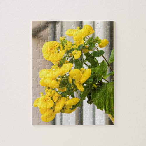 yellow flowers on the balcony jigsaw puzzle