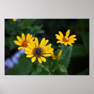 Yellow Flowers Photo Poster