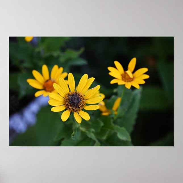 Yellow Flowers Photo Poster (Front)