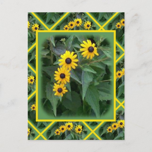 Yellow Flowers Postcard (Front)