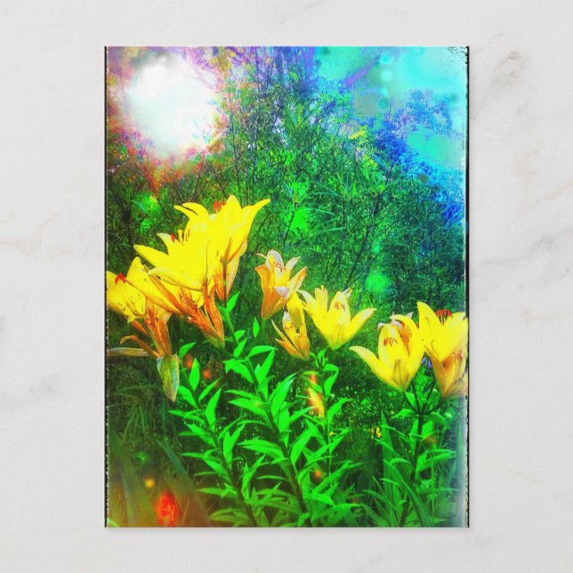 Yellow flowers postcard (Front)