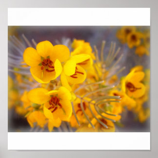 Yellow Flowers Poster