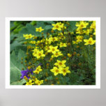 Yellow Flowers Poster at Zazzle