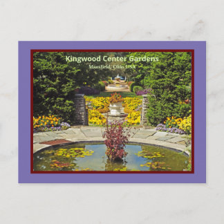Yellow Flowers/Sea Of Gold/Kingwood Center Postcard