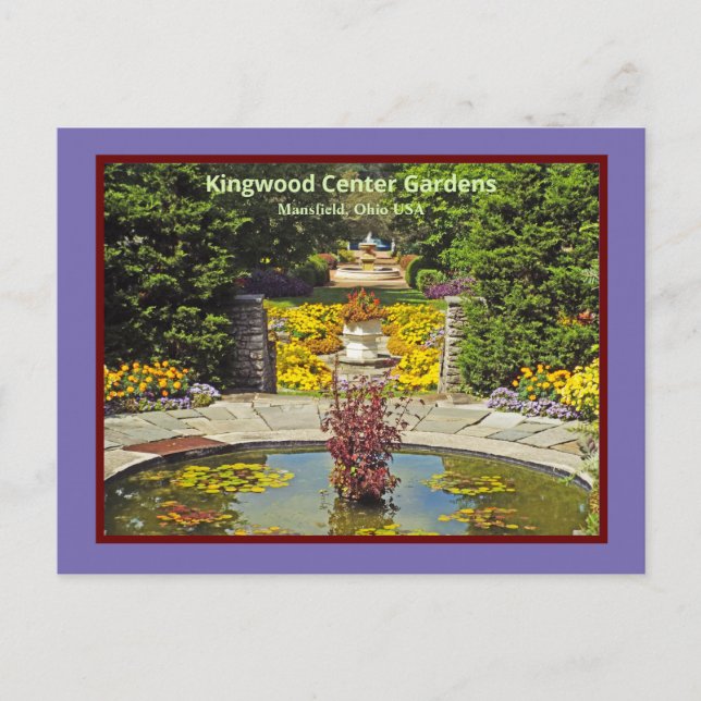 Yellow Flowers/Sea Of Gold/Kingwood Center Postcard (Front)