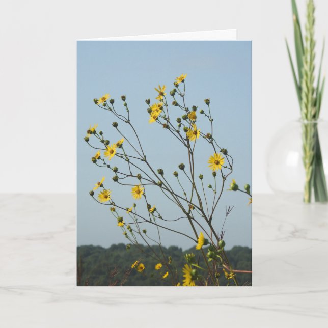 Yellow Flowers Thinking About You Friendship Card (Front)