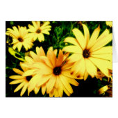 Yellow Flowers with Raindrops Flower Card (Front Horizontal)