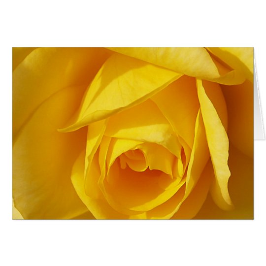 Yellow Folds Card