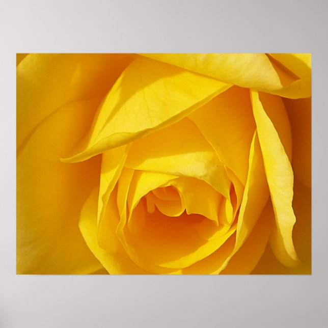 Yellow Folds Poster (Front)