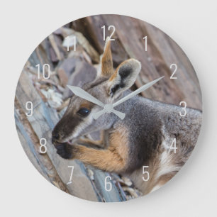 Yellow Footed Rock Wallaby Kangaroo Australia Large Clock