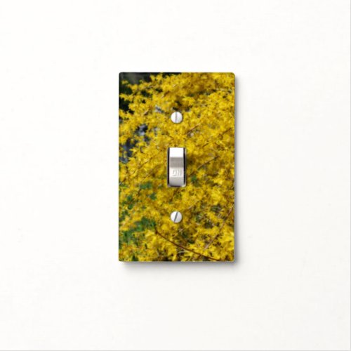 Yellow Forsythia Flowers Orton Effect  Light Switch Cover
