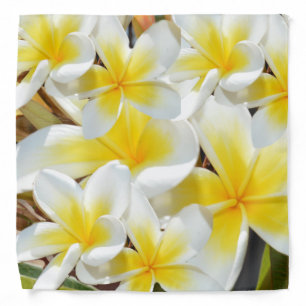 Yellow Frangipani Bouquet, Bandana
