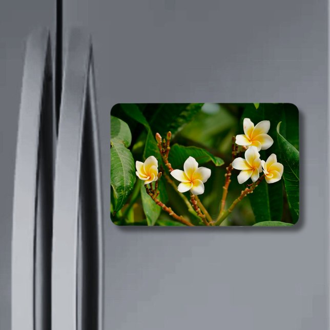Yellow Frangipani Magnet (Creator Uploaded)
