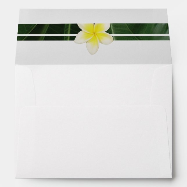 Yellow Frangipani Plumeria 5x7 Wedding Invitation Envelope (Back (Bottom))