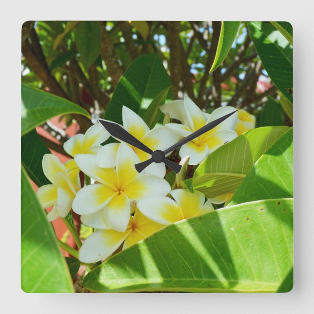 Yellow Frangipani Tree, Square Wall Clock (Front)