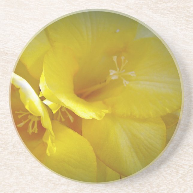 Yellow Freesia Flowers Sandstone Coaster (Front)