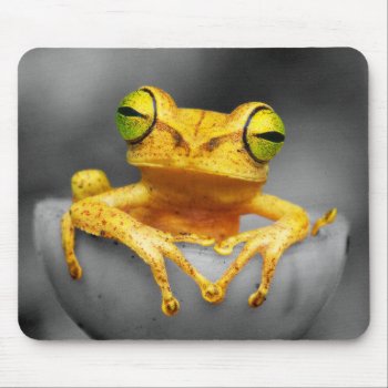 Yellow Frog Mouse Pad by Wilderzoo at Zazzle