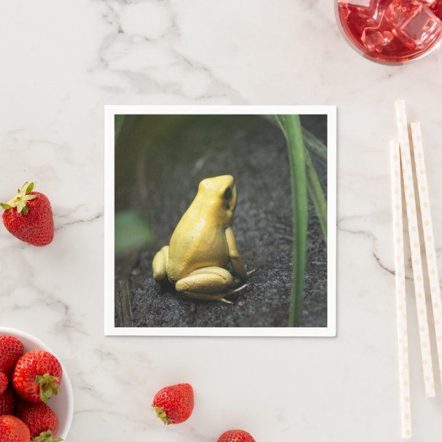 Yellow Frog Napkins (Insitu)