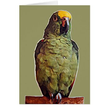 Yellow Fronted Amazon Parrot Card by PawsForaMoment at Zazzle
