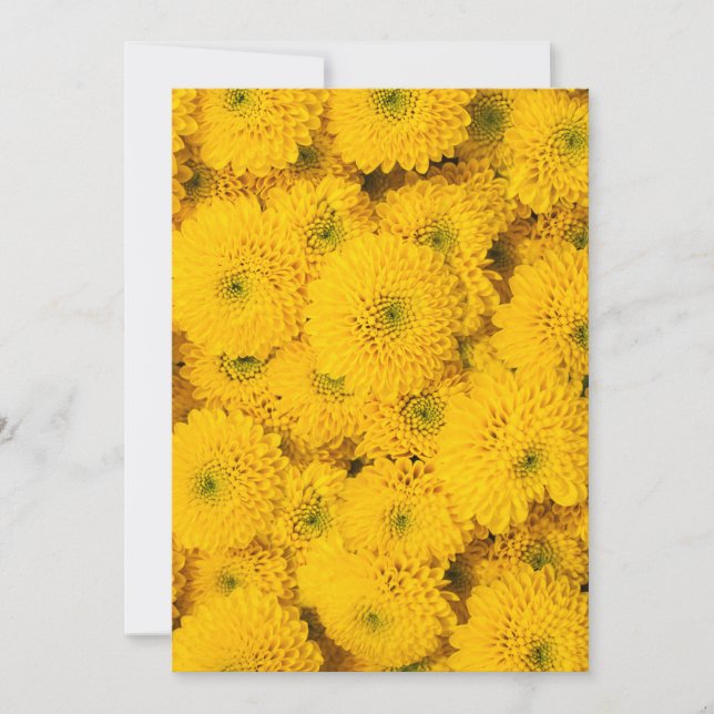 Yellow garden asters Perfect color summer flower Invitation (Front)