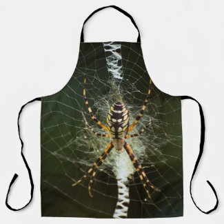 Yellow garden spider on web in dark