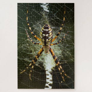 Yellow garden spider on web in dark jigsaw puzzle