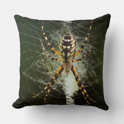 Yellow garden spider on web in dark throw pillow