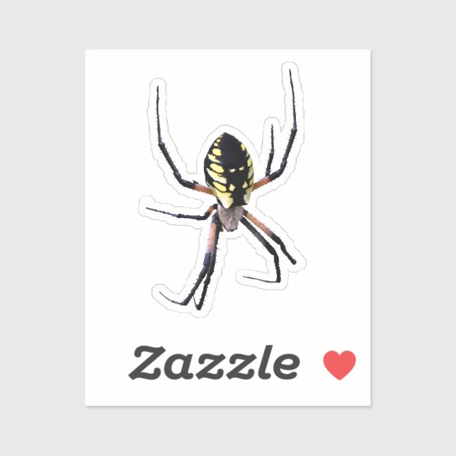 Yellow Garden Spider Sticker (Sheet)