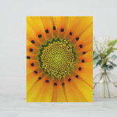 Yellow Gazania (Standing Front)