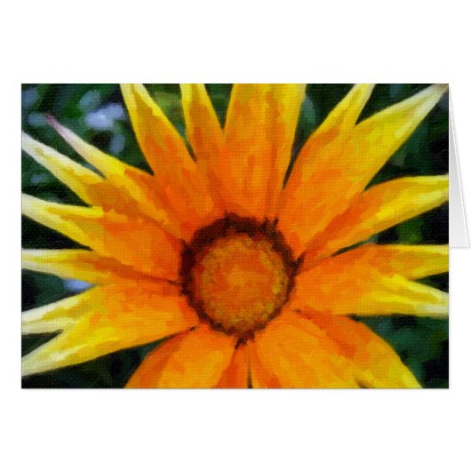 Yellow gazania cards (Front Horizontal)