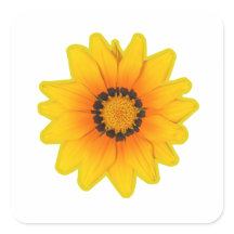 Yellow Gazania Flower Sticker