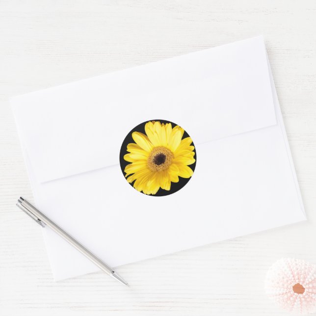 Yellow Gerber Daisy Close Up Photograph Classic Round Sticker (Envelope)