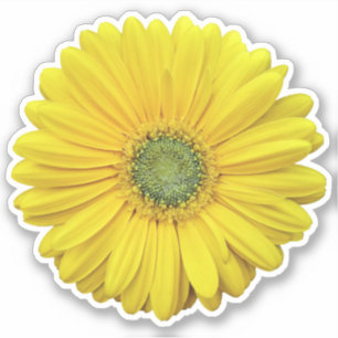 Yellow Gerber Daisy Flower Kiss-Cut Sticker
