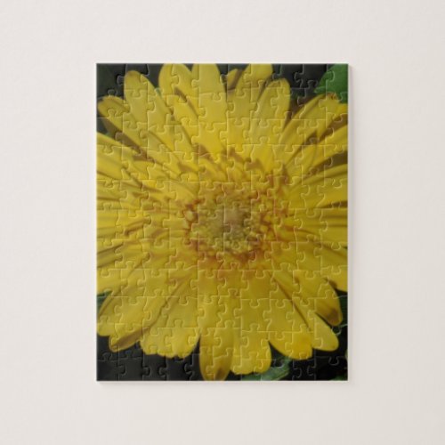 Yellow Gerber  Gerbera Daisy Jigsaw Puzzle