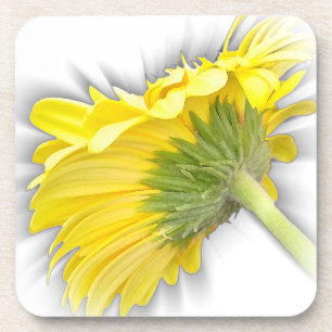 yellow gerbera daisy beverage coaster