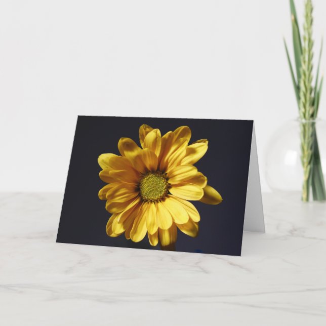 Yellow Gerbera Daisy Card (Front)