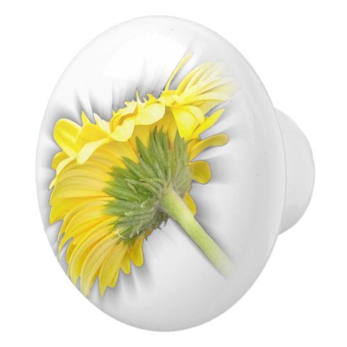 yellow gerbera daisy ceramic knob