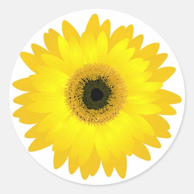 Yellow Gerbera Daisy Classic Round Sticker (Front)