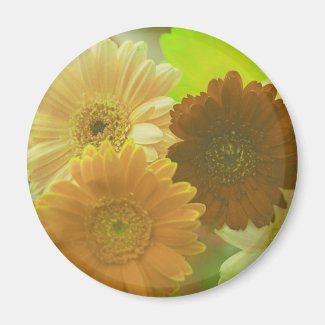 Yellow Gerbera Daisy Flower Refrigerator Magnet