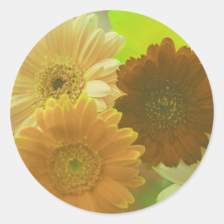 Yellow Gerbera Daisy Flowers Art Decal Stickers